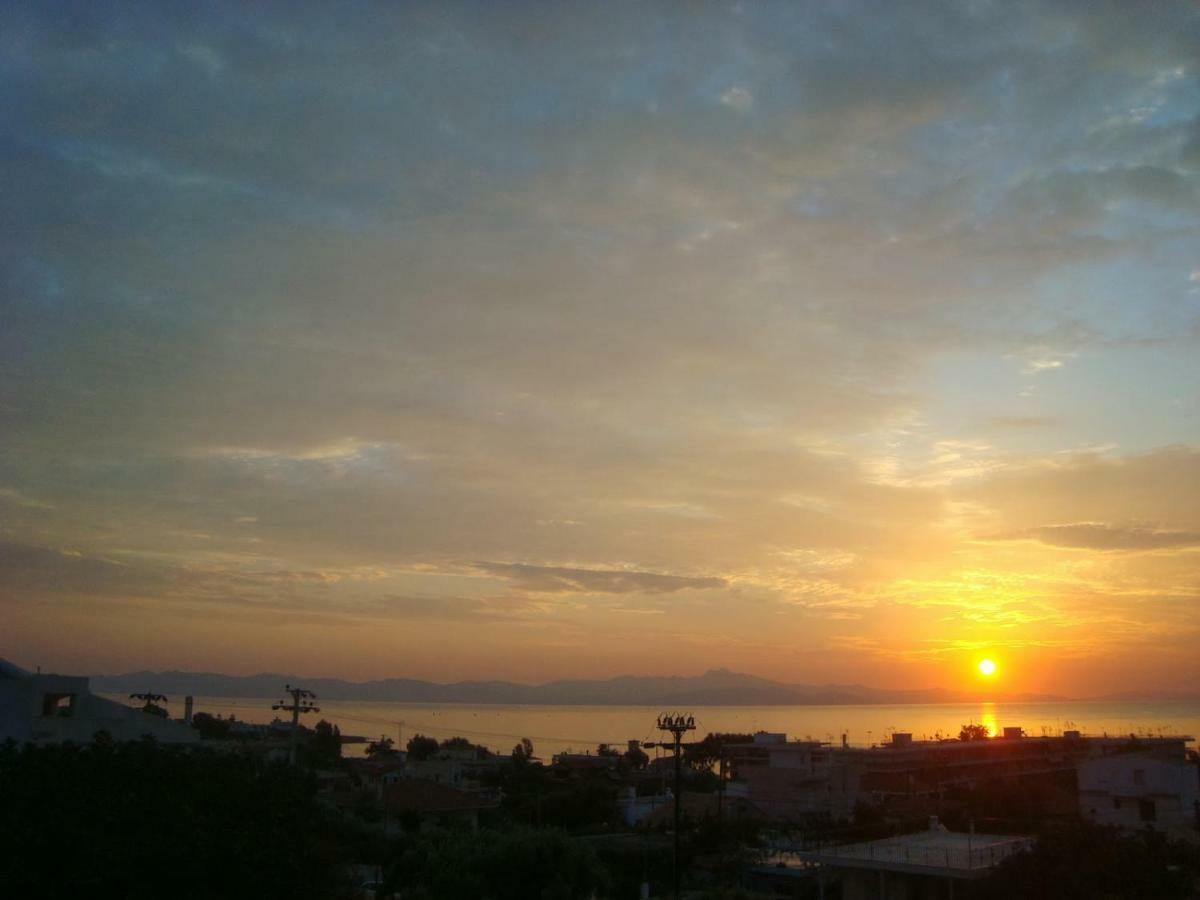 Smile House Near Athens Airport 300M From The Sea Villa Artemida  Luaran gambar