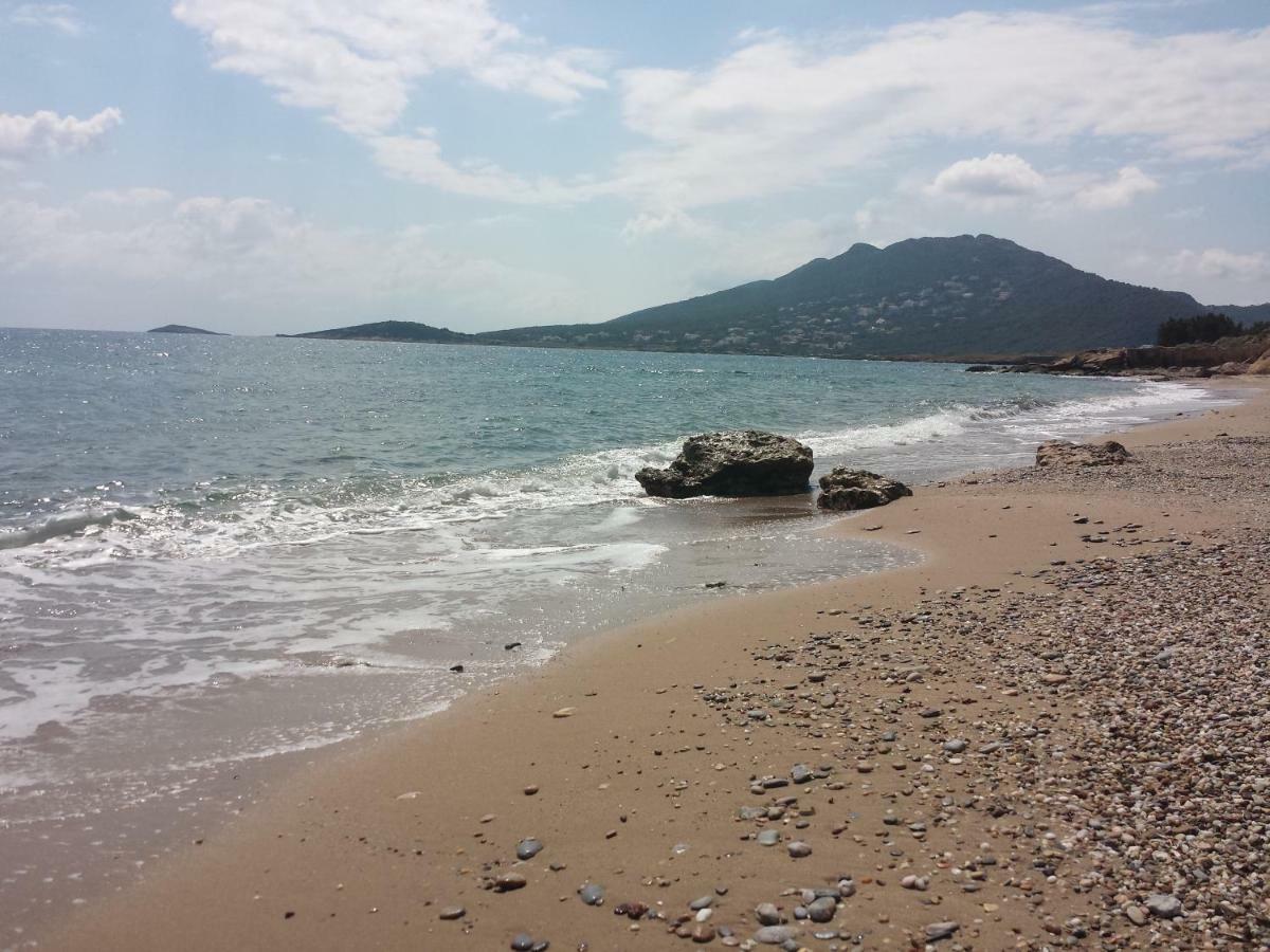 Smile House Near Athens Airport 300M From The Sea Villa Artemida  Luaran gambar