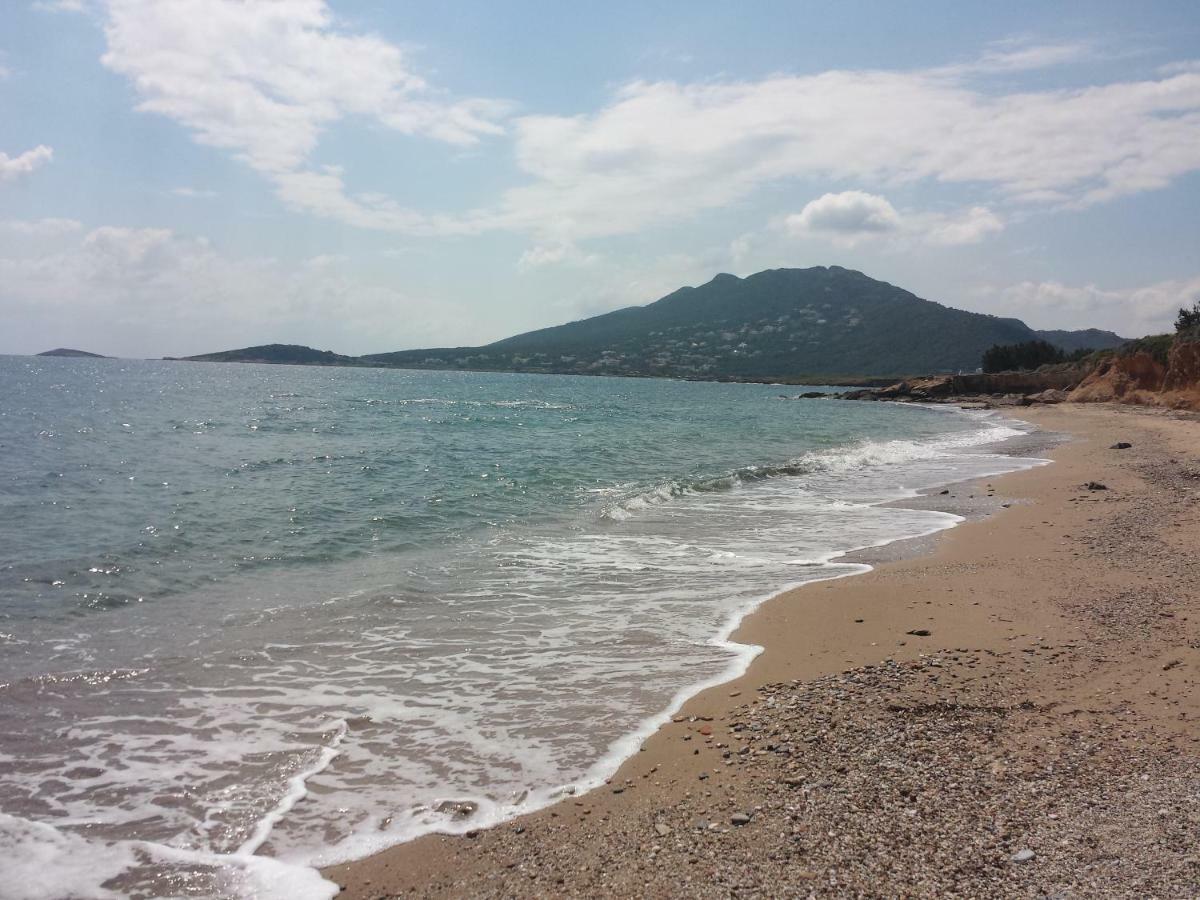 Smile House Near Athens Airport 300M From The Sea Villa Artemida  Luaran gambar