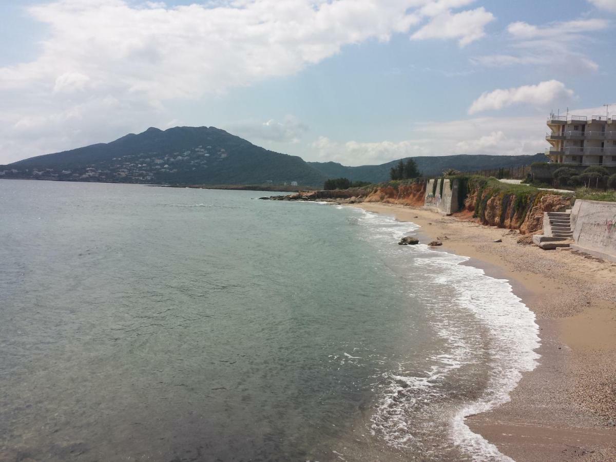 Smile House Near Athens Airport 300M From The Sea Villa Artemida  Luaran gambar